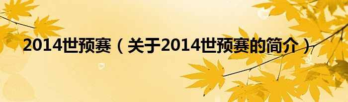 2014世預賽（關(guān)于2014世預賽的簡介）