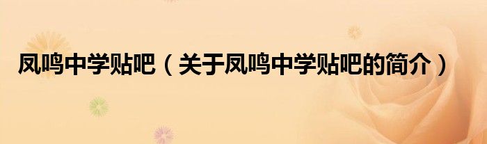 鳳鳴中學(xué)貼吧（關(guān)于鳳鳴中學(xué)貼吧的簡(jiǎn)介）