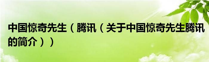 中國(guó)驚奇先生（騰訊（關(guān)于中國(guó)驚奇先生騰訊的簡(jiǎn)介））