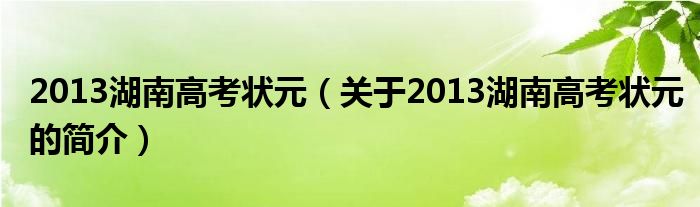 2013湖南高考狀元（關于2013湖南高考狀元的簡介）