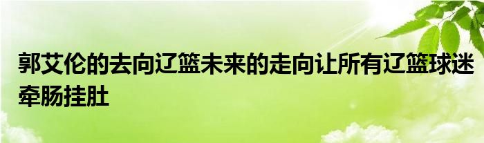 郭艾倫的去向遼籃未來(lái)的走向讓所有遼籃球迷牽腸掛肚