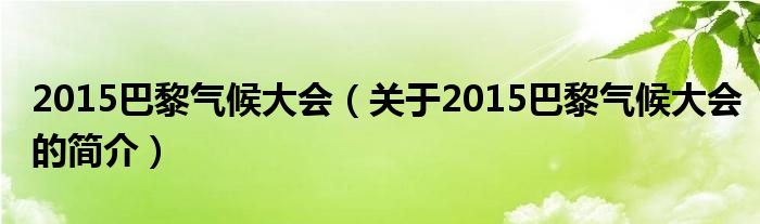 2015巴黎氣候大會（關于2015巴黎氣候大會的簡介）