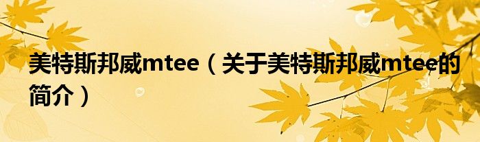 美特斯邦威mtee（關(guān)于美特斯邦威mtee的簡(jiǎn)介）