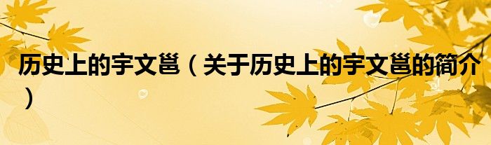 歷史上的宇文邕（關(guān)于歷史上的宇文邕的簡(jiǎn)介）