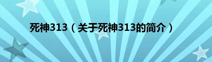 死神313（關(guān)于死神313的簡介）