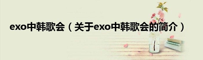 exo中韓歌會（關(guān)于exo中韓歌會的簡介）