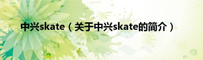 中興skate（關于中興skate的簡介）