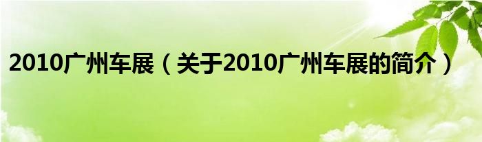 2010廣州車展（關(guān)于2010廣州車展的簡介）