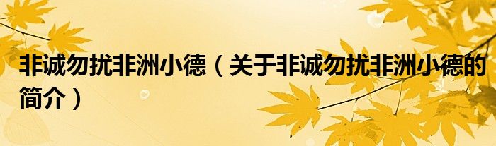 非誠勿擾非洲小德（關(guān)于非誠勿擾非洲小德的簡介）