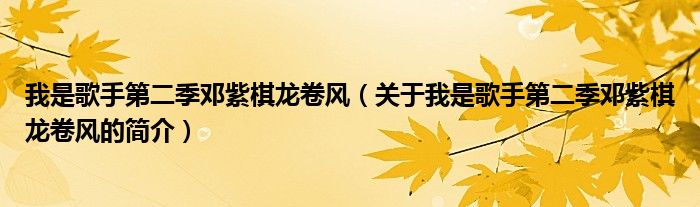 我是歌手第二季鄧紫棋龍卷風（關于我是歌手第二季鄧紫棋龍卷風的簡介）