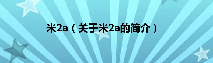 米2a（關(guān)于米2a的簡介）