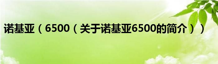 諾基亞（6500（關(guān)于諾基亞6500的簡(jiǎn)介））