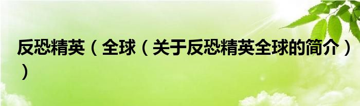 反恐精英（全球（關(guān)于反恐精英全球的簡(jiǎn)介））