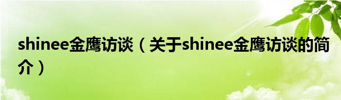 shinee金鷹訪談（關(guān)于shinee金鷹訪談的簡介）