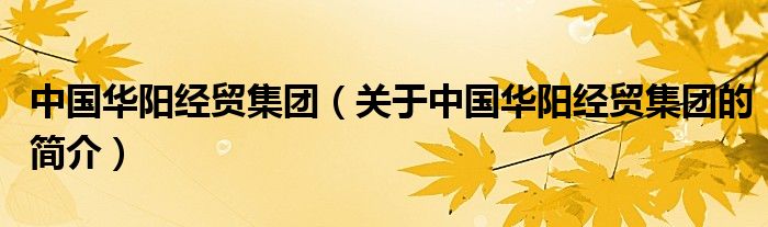 中國(guó)華陽經(jīng)貿(mào)集團(tuán)（關(guān)于中國(guó)華陽經(jīng)貿(mào)集團(tuán)的簡(jiǎn)介）