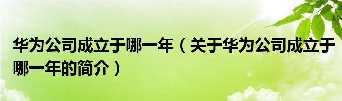 華為公司成立于哪一年（關于華為公司成立于哪一年的簡介）