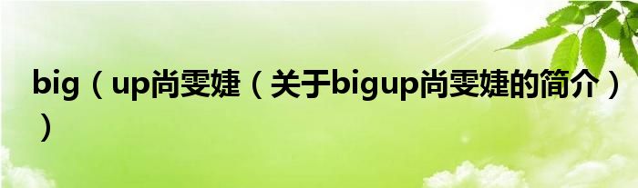 big（up尚雯婕（關(guān)于bigup尚雯婕的簡介））