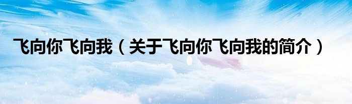 飛向你飛向我（關(guān)于飛向你飛向我的簡介）