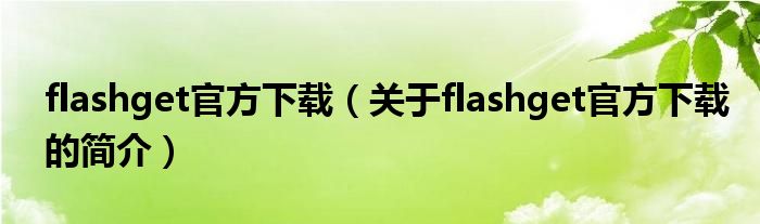 flashget官方下載（關(guān)于flashget官方下載的簡介）