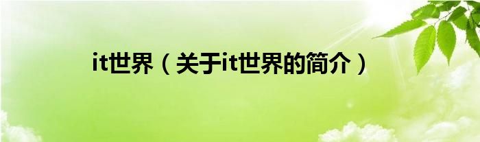 it世界（關(guān)于it世界的簡(jiǎn)介）