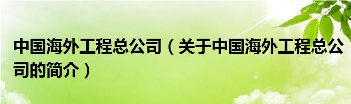 中國海外工程總公司（關(guān)于中國海外工程總公司的簡介）