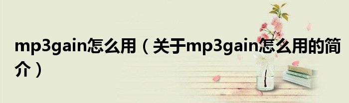 mp3gain怎么用（關(guān)于mp3gain怎么用的簡(jiǎn)介）