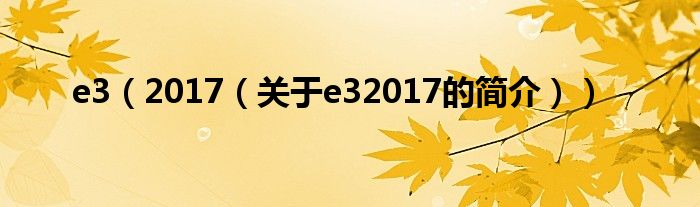 e3（2017（關(guān)于e32017的簡(jiǎn)介））