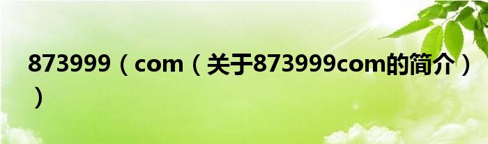 873999（com（關(guān)于873999com的簡介））