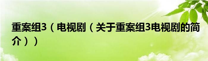 重案組3（電視?。P(guān)于重案組3電視劇的簡(jiǎn)介））