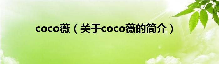 coco薇（關(guān)于coco薇的簡(jiǎn)介）