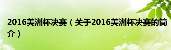 2016美洲杯決賽（關(guān)于2016美洲杯決賽的簡介）