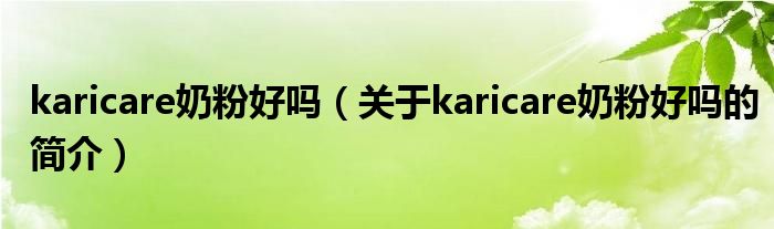 karicare奶粉好嗎（關于karicare奶粉好嗎的簡介）