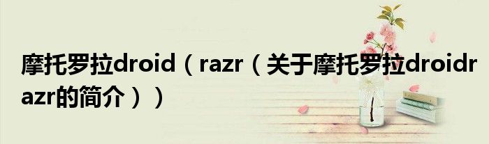 摩托羅拉droid（razr（關(guān)于摩托羅拉droidrazr的簡(jiǎn)介））