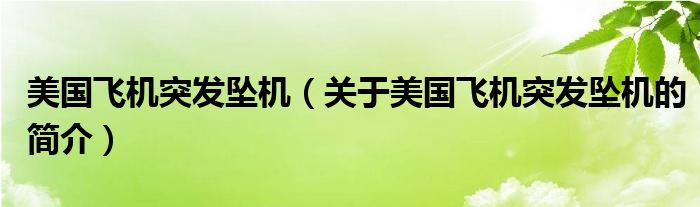 美國飛機突發(fā)墜機（關(guān)于美國飛機突發(fā)墜機的簡介）