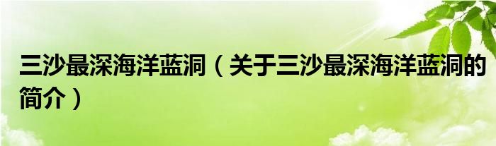 三沙最深海洋藍洞（關于三沙最深海洋藍洞的簡介）