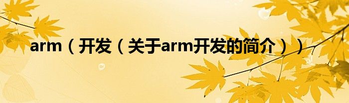 arm（開發(fā)（關于arm開發(fā)的簡介））