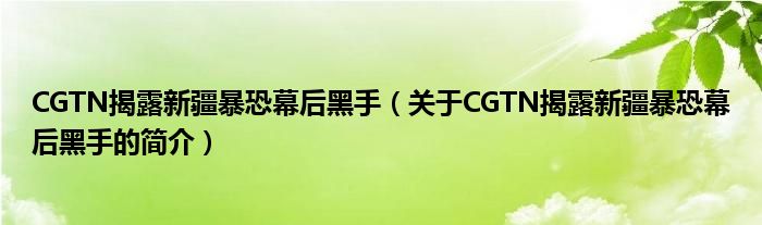 CGTN揭露新疆暴恐幕后黑手（關于CGTN揭露新疆暴恐幕后黑手的簡介）