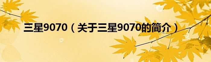 三星9070（關(guān)于三星9070的簡介）