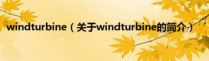 windturbine（關于windturbine的簡介）