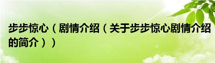 步步驚心（劇情介紹（關(guān)于步步驚心劇情介紹的簡介））