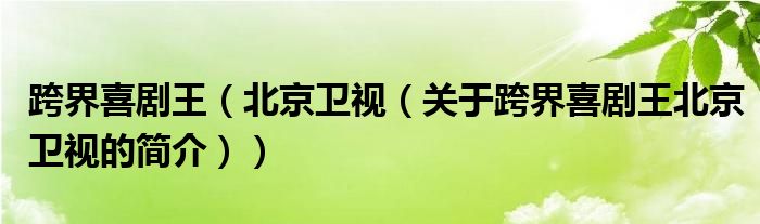 跨界喜劇王（北京衛(wèi)視（關(guān)于跨界喜劇王北京衛(wèi)視的簡介））