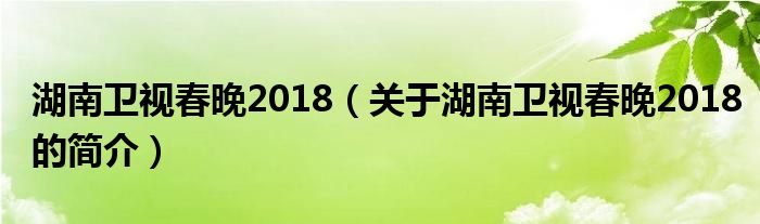 湖南衛(wèi)視春晚2018（關(guān)于湖南衛(wèi)視春晚2018的簡(jiǎn)介）