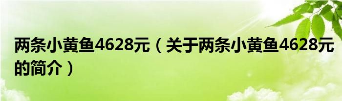 兩條小黃魚4628元（關(guān)于兩條小黃魚4628元的簡(jiǎn)介）