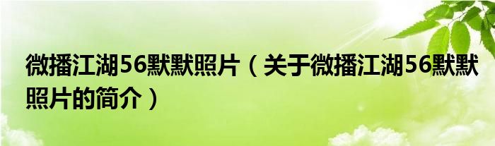 微播江湖56默默照片（關(guān)于微播江湖56默默照片的簡(jiǎn)介）