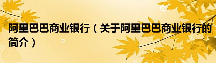 阿里巴巴商業(yè)銀行（關(guān)于阿里巴巴商業(yè)銀行的簡介）