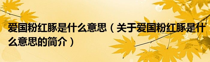 愛國(guó)粉紅豚是什么意思（關(guān)于愛國(guó)粉紅豚是什么意思的簡(jiǎn)介）