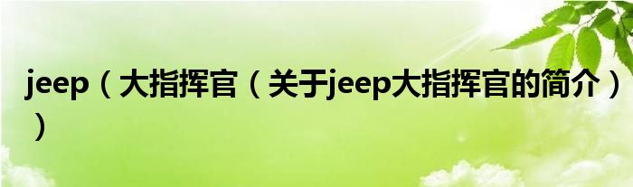 jeep（大指揮官（關于jeep大指揮官的簡介））