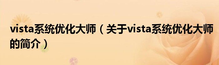 vista系統(tǒng)優(yōu)化大師（關(guān)于vista系統(tǒng)優(yōu)化大師的簡介）