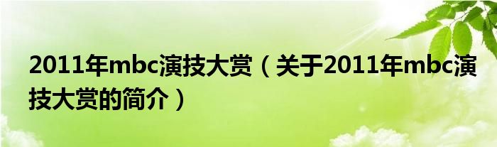 2011年mbc演技大賞（關(guān)于2011年mbc演技大賞的簡(jiǎn)介）