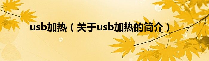 usb加熱（關(guān)于usb加熱的簡介）